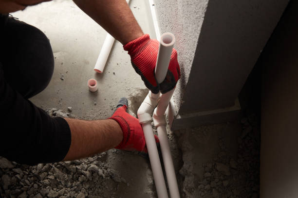 Best Clogged Drain Plumber  in Mexico Beach, FL